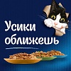 Феликс СЕНСЕЙШНС влажный корм для кошек с курицей и морковью, кусочки в желе, 75г, FELIX Sensations 