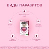 АТАКСА капли от клещей, блох, комаров, власоедов для собак весом 10-25кг, 2,5мл, 1 пипетка, КRКА Ataxxa
