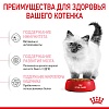 Роял Канин КИТТЕН сухой корм для котят до 12 месяцев,   300г, ROYAL CANIN Kitten