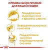Роял Канин ПЕРСИАН сухой корм для кошек Персидской породы,  2кг, ROYAL CANIN Persian