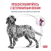 Роял Канин РЕНАЛ лечебный сухой корм для собак, 14кг, ROYAL CANIN RENAL