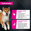 Эукануба сухой корм для собак мелких и средних пород с ягненком 3кг, EUKANUBA Adult Lamb