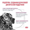Роял Канин РЕНАЛ лечебный сухой корм для собак, 14кг, ROYAL CANIN RENAL