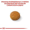 Роял Канин СИБИРСКАЯ сухой корм для кошек Сибирской породы,  400г, ROYAL CANIN Siberian