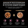 Про План СТЕРИЛАЙЗД ДЕЛИКАТ сухой корм для стерилизованных кошек с чувствительным пищеварением, с курицей, 1,5кг + 400г в подарок! PRO PLAN Sterilised Delicate Digestion