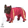 Комбинезон для собаки ВЕЛЬШ-КОРГИ, спортивный, утепленный на фланели, НА СУКУ, длина спины 46см, обхват груди 60см, ТУЗИК