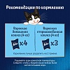 Феликс СЕНСЕЙШНС СУПЕРВКУС влажный корм для кошек с индейкой и ягодами, кусочки в желе, 75г, FELIX Sensations