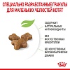 Роял Канин КИТТЕН сухой корм для котят до 12 месяцев,   300г, ROYAL CANIN Kitten