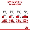 Роял Канин ДЖАЙНТ ЮНИОР сухой корм для щенков гигантских пород в возрасте с 8 до 18-24 месяцев,  3,5кг, ROYAL CANIN Giant Junior