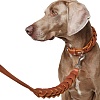 Поводок для собак Хантер Солид Эдьюкейшн Чейн 20мм/120см, рыжий, натуральная кожа, 68637, HUNTER Solid Education Chain