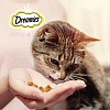 Дримис лакомство для кошек, подушечки с лососем,  60г, DREAMIES