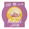 Молина влажный корм для котят и кошек с цыпленком в желе, 75г, MOLINA