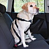 Автомобильный ремень безопасности со шлейкой для собак, 50-80см, нейлон, 1291, TRIXIE