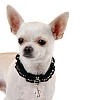 Ошейник для маленькой собачки СТРАСТЬ, ширина 10мм, длина 30см, черный, лаковая экокожа, GN618-30, FOR PETS ONLY Passion 