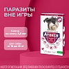 АТАКСА капли от клещей, блох, комаров, власоедов для собак весом 10-25кг, 2,5мл, 1 пипетка, КRКА Ataxxa