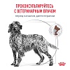 Роял Канин ГАСТРОИНТЕСТИНАЛ лечебный сухой корм для собак, 15кг, ROYAL CANIN Gastrointestinal