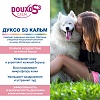 ДУКСО S3 КАЛЬМ шампунь успокаивающий для чувствительной кожи, 200мл, Douxo S3 Calm Shampoo, Ceva Sante Animal