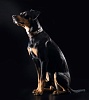 Ошейник для собак ХАНТЕР Блек Лейбл Топ Ган Рептайл 47, 30мм/38-43,5см, серо-коричневый, натуральная кожа, 48086, HUNTER BLACK LABEL REPTILE