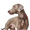 Ошейник для собак Хантер ЛИСТ 50, 12мм/38-46см, круглого сечения, бордовый, полиэстер/кожа, 65074, HUNTER List