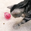 Игрушка для кошки ЯЙЦО для лакомства, 8,5см, пластик, 84354, CATTYMAN