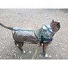 Дождевик для собак ОССО прозрачный с капюшоном, 45см, ПВХ, Д-1008, OSSO 