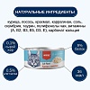 Ванпи влажный корм для кошек с курицей и лососем, 95г, WANPY Cat