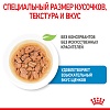 Роял Канин МИНИ ПАППИ влажный корм для щенков мелких пород, кусочки в соусе, 85г, ROYAL CANIN Mini Puppy
