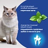 Перфект Фит ОРАЛ КЕА лакомство для кошек для здоровья зубов и полости рта, с курицей и мятой, 50г, PERFECT FIT Oral Care
