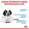 Роял Канин ДЖАЙНТ ЮНИОР сухой корм для щенков гигантских пород в возрасте с 8 до 18-24 месяцев,  3,5кг, ROYAL CANIN Giant Junior