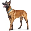 Ошейник для собак ХАНТЕР Осс 10мм/65см, нерегулируемый, бирюзовый, нейлон, 66446, HUNTER OSS