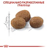 Роял Канин СТЕРИЛАЙЗД 7+  сухой корм для стерилизованных кошек старше 7 лет,  400г, ROYAL CANIN Sterilised 7+