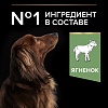 Про План СМОЛЛ МИНИ ЭДАЛТ СЕНСИТИВ сухой корм для собак мелких пород с чувствительным пищеварением, с ягненком, 3кг, PRO PLAN Small & Mini Adult Sensitive Digestion