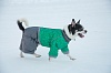 ЗООФОРТУНА Комбинезон зимний для собак на молнии, 45см, кобель, 12387745