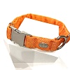 Ошейник для собак с металлической пряжкой, размер L, 25мм/38-66, оранжевый, KCMC-25.HD/OR, JAPAN PREMIUM PET
