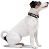 Ошейник для собак ХАНТЕР Аризона 42, 26мм/35-39,5см, коричневый/коричневый, натуральная кожа, 60442, HUNTER ARIZONA