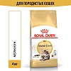 Роял Канин МЕЙН КУН сухой корм для кошек породы Мейн-Кун,  4кг, ROYAL CANIN Maine Coon