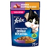 Феликс ДВОЙНАЯ ВКУСНЯТИНА влажный корм для кошек с ягненком и курицей, кусочки в желе, 75г, FELIX
