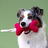 Игрушка для собак КОСТОЧКА, с канатом, 31*9см, ярко-розовая, полиэстер, MKR80251, MR.KRANCH