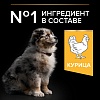 Про План МЕДИУМ ПАППИ сухой корм для щенков средних пород, с курицей,  3кг, PRO PLAN Medium Puppy