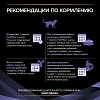 Пурина ПРО ПЛАН ФОРТИФЛОРА кормовая добавка с пробиотиком для восстановления микрофлоры кишечника у кошек и котят, 1уп, 30шт по 1г, Purina Pro Plan FortiFlora