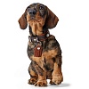 Ошейник для собак ХАНТЕР Коди Комфорт 40, 28мм/30-35см, темно-коричневый/рыжий, натуральная кожа, 65210, HUNTER CODY COMFORT