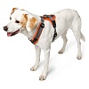 Шлейка для собак Хантер МЭЛДОН, размер XS, 15мм/34-49см, оранжевая/серая, нейлон/полиэстер, 67515, HUNTER Maldon 