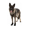 Ботинки для собак ВОЛКЕР АКТИВ, размер M-L (Далматин), подошва до 6см, в упаковке 2шт, ТПР, полиэстер, TRIXIE