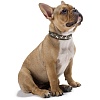 Ошейник для собак ХАНТЕР Аризона 65, 39мм/51-58,5см, коричневый/коричневый, натуральная кожа, 60447, HUNTER ARIZONA