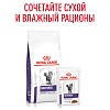 Роял Канин НЬЮТРИД МЭЙНТЕНЭНС диетический влажный корм для кастрированных котов и кошек, кусочки в соусе, 85г, ROYAL CANIN Neutered Maintenance