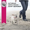 Эукануба сухой корм для щенков средних пород с птицей,  3кг, EUKANUBA Puppy Medium Breed 