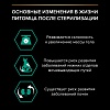 Про План СТЕРИЛАЙЗД влажный корм для стерилизованных кошек, с кроликом в соусе, 85г, PRO PLAN Sterilised Maintenance