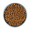 Core КИТТЕН сухой корм для котят, беззерновой, с индейкой, курицей и лососем,   300г, WELLNESS CORE