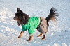 ЗООФОРТУНА Комбинезон зимний для собак на молнии, 45см, кобель, 12387745
