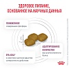 Роял Канин РЕНАЛ лечебный сухой корм для собак, 14кг, ROYAL CANIN RENAL